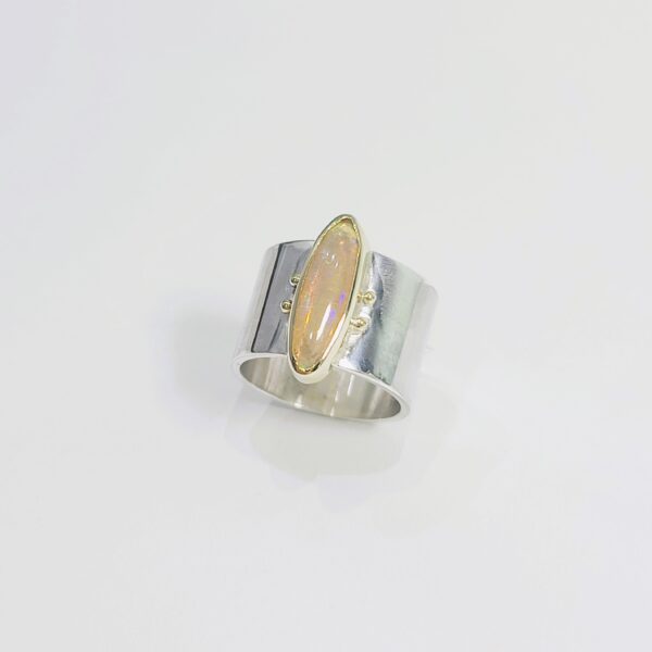 Anillo N8