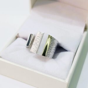 Anillo Turin