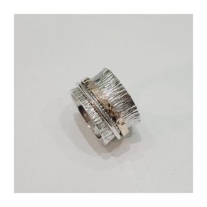 Anillo Salta